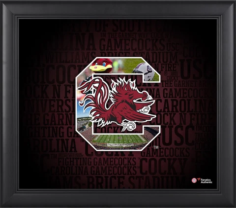 South Carolina Gamecocks Framed 15' x 17' Team Heritage Collage Cover
