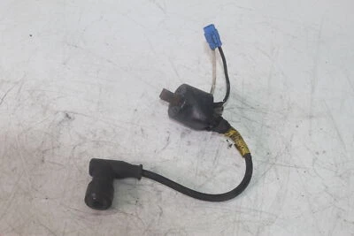 Bobina de ignição 14-17 Arctic Cat M8000 Sno Pro 153 polegadas 3007-548 - Imagem 1 de 4