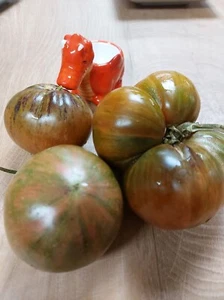 Tomate Luna de Sangre de EE. UU. - Tomate - 5+ Semillas - Semillas - P 524 - Imagen 1 de 1