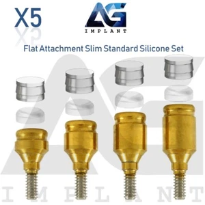 5 Slim Platform Straight Flat Attachment Standard Set Titanium Int Hex 2.0 - Bild 1 von 5
