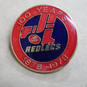 Norwood SANFL centenary celebration 1878-1978 enamel badge (made by Parkes) - Picture 1 of 4