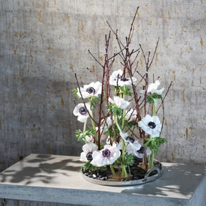 Ikebana erizo Kenzan cuarto de círculo ayuda para enchufar artificial - Imagen 1 de 4