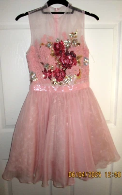 4 Новый с Ярлыками Sherri Hill Sadie Robertson 21198 Pageant выпускного вечера официальное платье румяна - Изображение 1 из 4