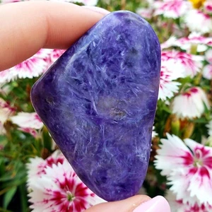 Piedra preciosa natural curativa cristal pulido caído libre de Charoite - pc#1 - Imagen 1 de 5