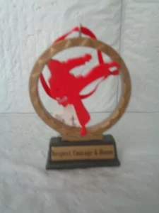NWT - Hallmark - Karate Medal - Christmas Ornament - Picture 1 of 2
