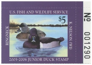 JDS13 2005 Federal Junior Duck Stamp Mint Never Hinged. Original Gum  - Picture 1 of 2