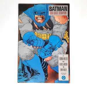 DC Comics Batman The Dark Knight Triumphant Novel TPB Comic Book 1st Print 1986 - Picture 1 of 2
