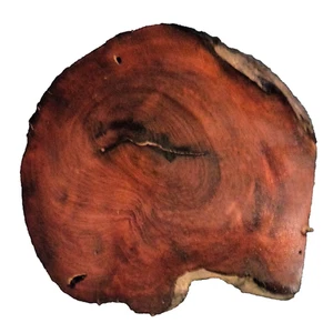 OLDGROWTH SEQUOIA TORNITURA VUOTA LAVORAZIONE DEL LEGNO CIRCA 9,5x9,5x1,25 IN - Foto 1 di 2