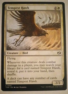 MTG 4X Tempest Hawk Tarkir Dragonstorm MAGIC - Picture 1 of 13
