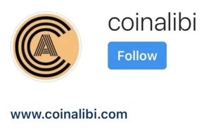 COINALIBI.COM domain name Crypto Currency Related , was Crypto News Website - Picture 1 of 1