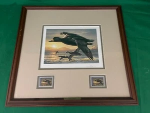 2002 Federal Duck Stamp Print - Black Scoter - by Joseph Hautman + - Picture 1 of 3