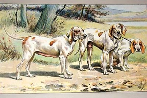 CHIENS DE PORCELAINE MAHLER AQUARELLE MANUFRANCE 1907 - Picture 1 of 1