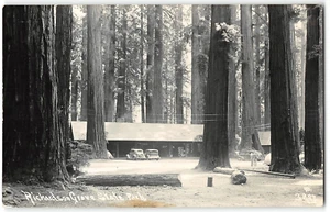 RPPC RICHARDSON GROVE STATE PARK Humboldt County Patterson Photo 1940s Postcard - Bild 1 von 2
