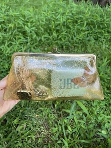 Unique 80s Acrylic Real Butterfly Embedded Clear Clutch Purse. Fairy Grunge Twee - Picture 1 of 9