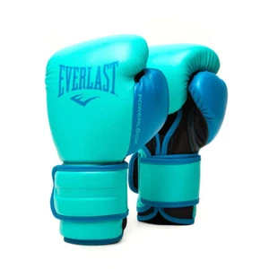Everlast 10oz Powerlock2 Boxing Training/Sparring Gloves Pair Fitness Biscay - Picture 1 of 9