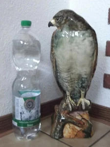 DEKORATIVE ALTE KERAMIKFIGUR "RAUBVOGEL,ADLER?" SEHR GROß UND SCHWER #8271 - Bild 1 von 7