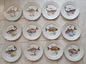 12 Fisch-Teller Porzellan / 24cm / Frankreich Colmar / Ateliers de la cigogne - Bild 1 von 17