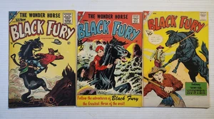 Black Fury Charlton Comic Book Lot #4,12,35 - Bild 1 von 6