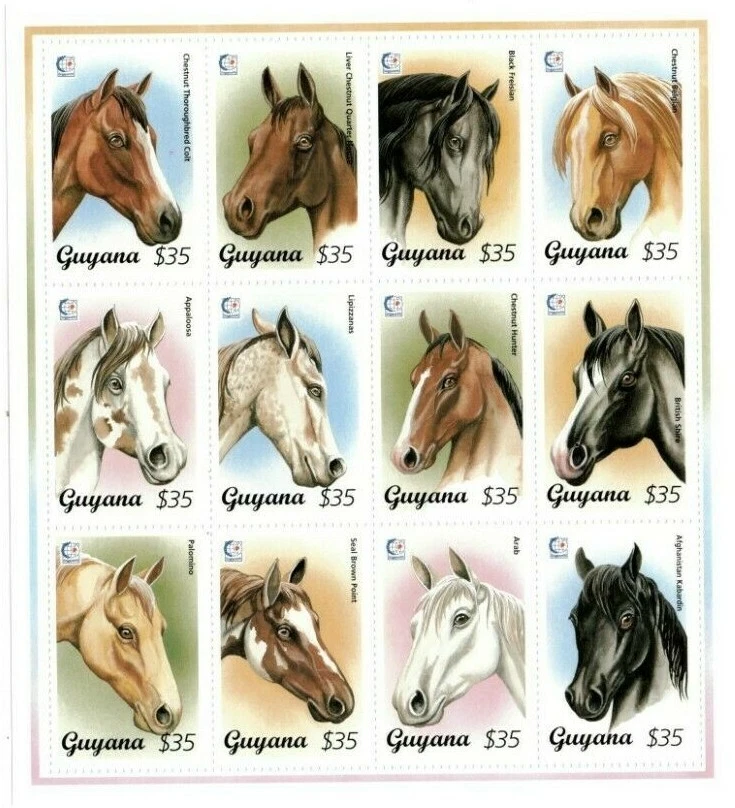 Guyana 1995 - Animales caballos - Hoja de 12 estampillas - Scott #2946 - MNH Foto 1 de 1