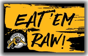 Hamilton Tiger-Cats Squadra di calcio bandiera memorabile 90x150cm 3x5ft fan miglior striscione - Foto 1 di 6