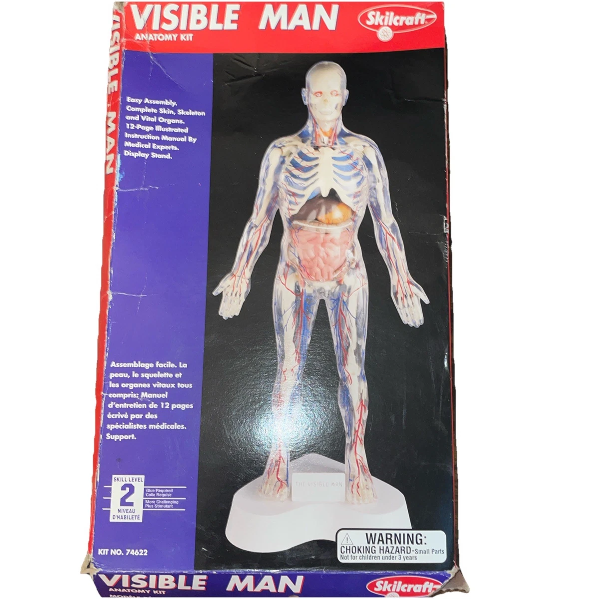 visible man products for sale | eBay