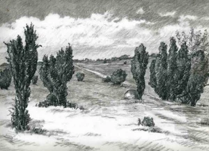 WACHOLDER in Der LÜNEBURGER HEIDE - EDITH KNEISLER KOHLE Zeichnung - Picture 1 of 1