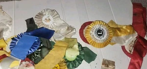 Konvolut 24 Vintage Horse Show Bänder 1990er Virginia - Bild 1 von 7