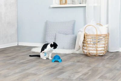 Catch me mit Motor & Fernbedienung batteriebetrieben Spielzeug Katze Spiel Spaß - Bild 1 von 4