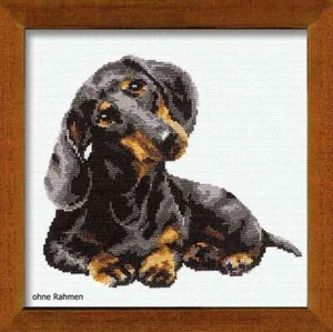 Riolis counted cross stitch Kit Dachshund, DIY - Picture 1 of 1
