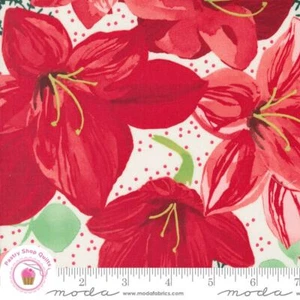 Moda WINTERLY 487560 11 Cream Floral ROBIN PICKENS Quilt Fabric CHRISTMAS - Picture 1 of 4