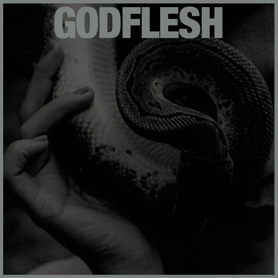 Godflesh Purge (Vinyl) (US IMPORT) - Image 1 of 1