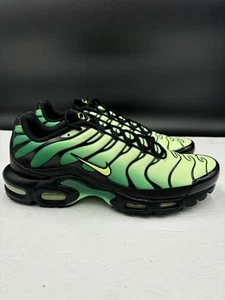 Nike Air Max Plus "Vapor Green Gradient" para hombre talla 12 DM0032-301 - Imagen 1 de 11