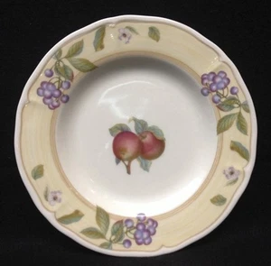 Noritake Homecraft Fruit Canyon 9234 Salad Plates (2) - Picture 1 of 5