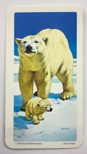 Animals and Their Young Polar Bear No 24 Red Rose Tea Card CC612