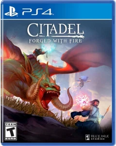 Citadel: Forged With Fire - Sony PlayStation 4 PS4 - Imagen 1 de 5