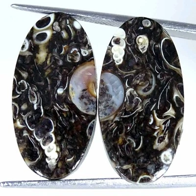 22.80Cts Natural Turritella Agate Fossilized Pair Loose Gemstone Oval 13x25x4mm - Image 1 of 4