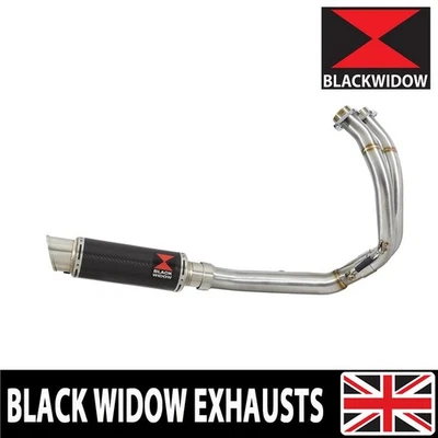 Z650 / Z650 RS / Ninja 650 2025 Exhaust System Silencer End Can 230CR - Image 1 of 4