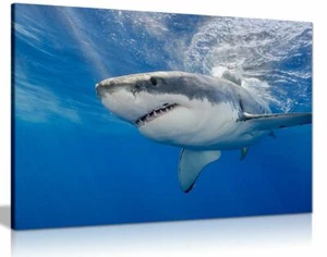 Shark Underwater Blue Canvas Wall Art Picture Print - Picture 1 of 5