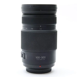 Panasonic LUMIX G VARIO 100-300mm F/4.0-5.6 II POWER O.I.S(M43) #238 - Picture 1 of 12