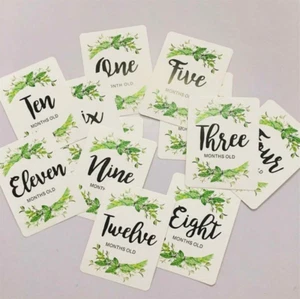 BABY MILESTONE MONTH BOTANICAL CARDS - WOODLAND Baby's 1st Year Baby Shower GIFT - Picture 1 of 7