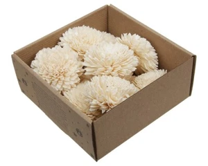 Ziona Flower Shola Pz 10 Naturale Essiccato Decorazione Addobbi Autunno - Foto 1 di 1