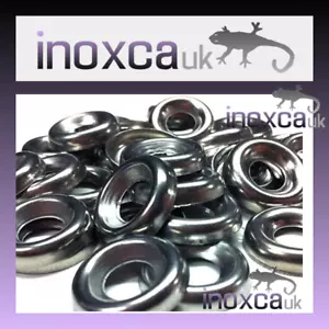 LAVATRICI A TAZZA VITE ACCIAIO INOX A2 n. 6 n.8 n.10 n.12 #6 #8 #10 #12 - Foto 1 di 2