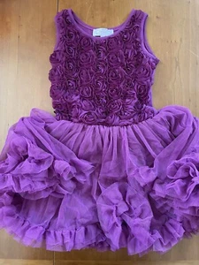 Popatu NWOT Burgundy Princess 3D Rosettes & Ruffled Tulle Tutu Dress-5-6Yrs - Picture 1 of 9