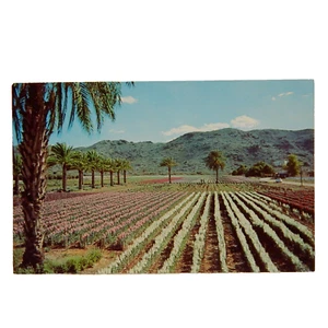 ARIZONA PHOENIX JAPANESE FLOWER GARDENS - Picture 1 of 2