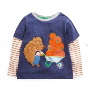 Jungen Mädchen Baby Boden Herbst T-Shirt 6 9 Monate Neu mit Etikett Igel Kürbis Patch Top - Bild 1 von 2