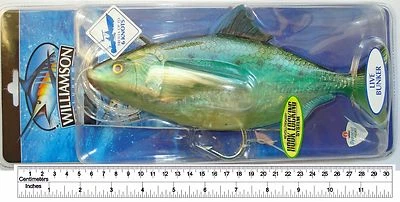 Williamson Live Bunker 10 "/ 25cm.Saltwater Leben Serie ,Trolling Köder, Giant - Bild 1 von 4