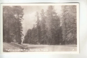 Real Photo Postcard Highway Through the Pines Jacobs Lake AZ   - Picture 1 of 1
