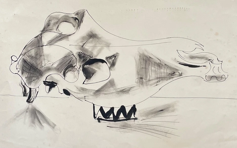 Glyn Morgan (1926-2015) “Sheep Skull” ink and wash c1950 — 第 1/4 张图片