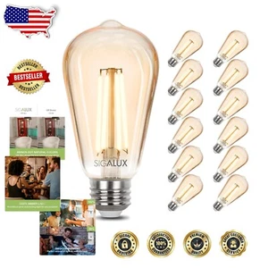 12 Antique Amber Glass LED Filament Bulbs - 2700K Soft White, Dimmable Design - Picture 1 of 8