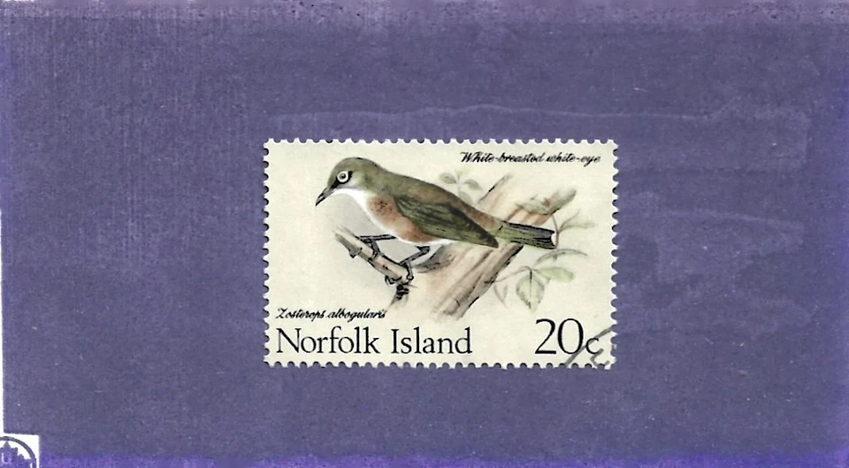 Isla Norfolk 1970 20c pecho blanco ojo blanco pájaro CTO único Foto 1 de 1